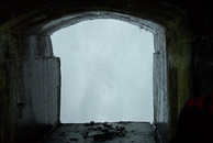 2006
